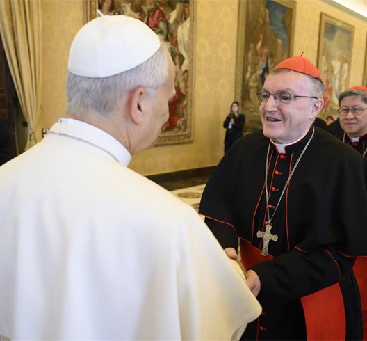Kardinal Bozanić sudjelovao na audijenciji članova Dikasterija za evangelizaciju s papom Lavom XIV. 